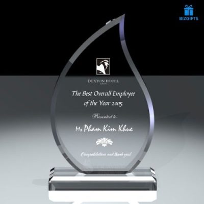 Mẫu Kỷ Niệm Chương BizGifts Phù Hợp Theo Mục Đích