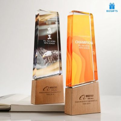 Những lưu ý khi chọn chất liệu kỷ niệm chương gỗ